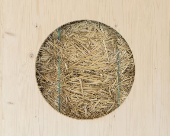 Umkleideanlage von Localarchitecture bei Lausanne