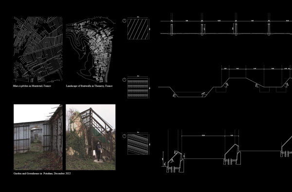 2. Platz: wall, fruit, wall, fruit von Annika Bcher (Akademie der bildenden Knste Wien mit der Abschlussarbeit)