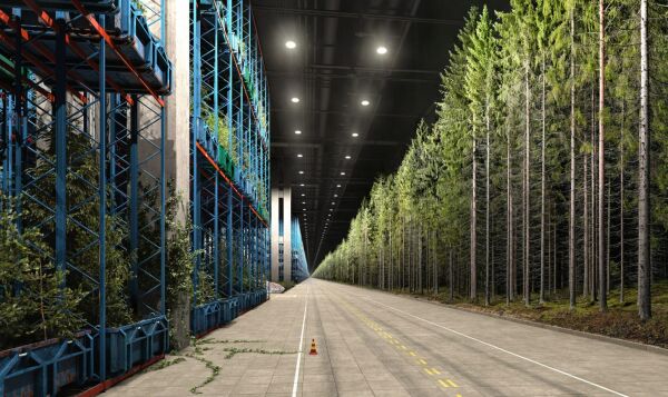 Naturale, Main Corridor  North, 2013