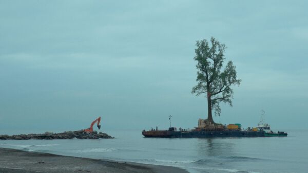 Verpflanzung eines alten Baumes fr einen Park in Georgien. Videostill aus dem Film Taming the Garden, Salom Jashi.