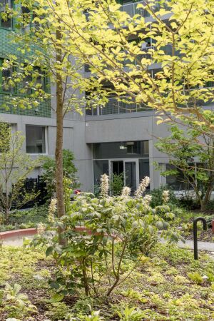 Zwei Wohn- und Geschftshuser in Berlin von Robertneun