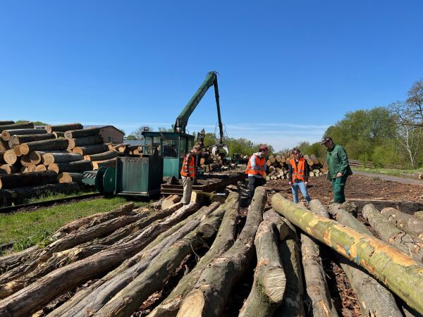 Holzbau Symposium im Livestream