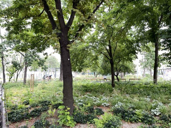 Der gender-inklusive Reumannplatz in Wien wird von der Stadtbev�lkerung �Reum�dchenplatz� genannt.