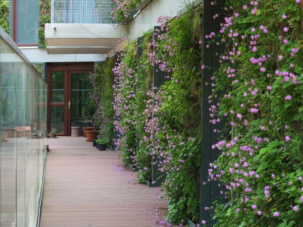 Ensemble von Limbrock Tubbesing Architekten in Hamburg