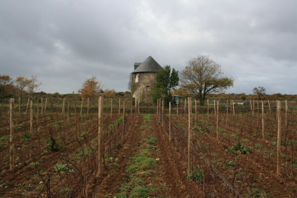 Zustand vor dem Umbau