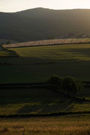 Umbau eines Gutshofs von LVArchitectes
