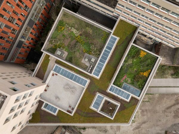 Campuserweiterung in Groningen von KAAN Architecten