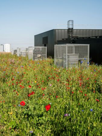 Brobau in Nantes von Baumschlager Eberle