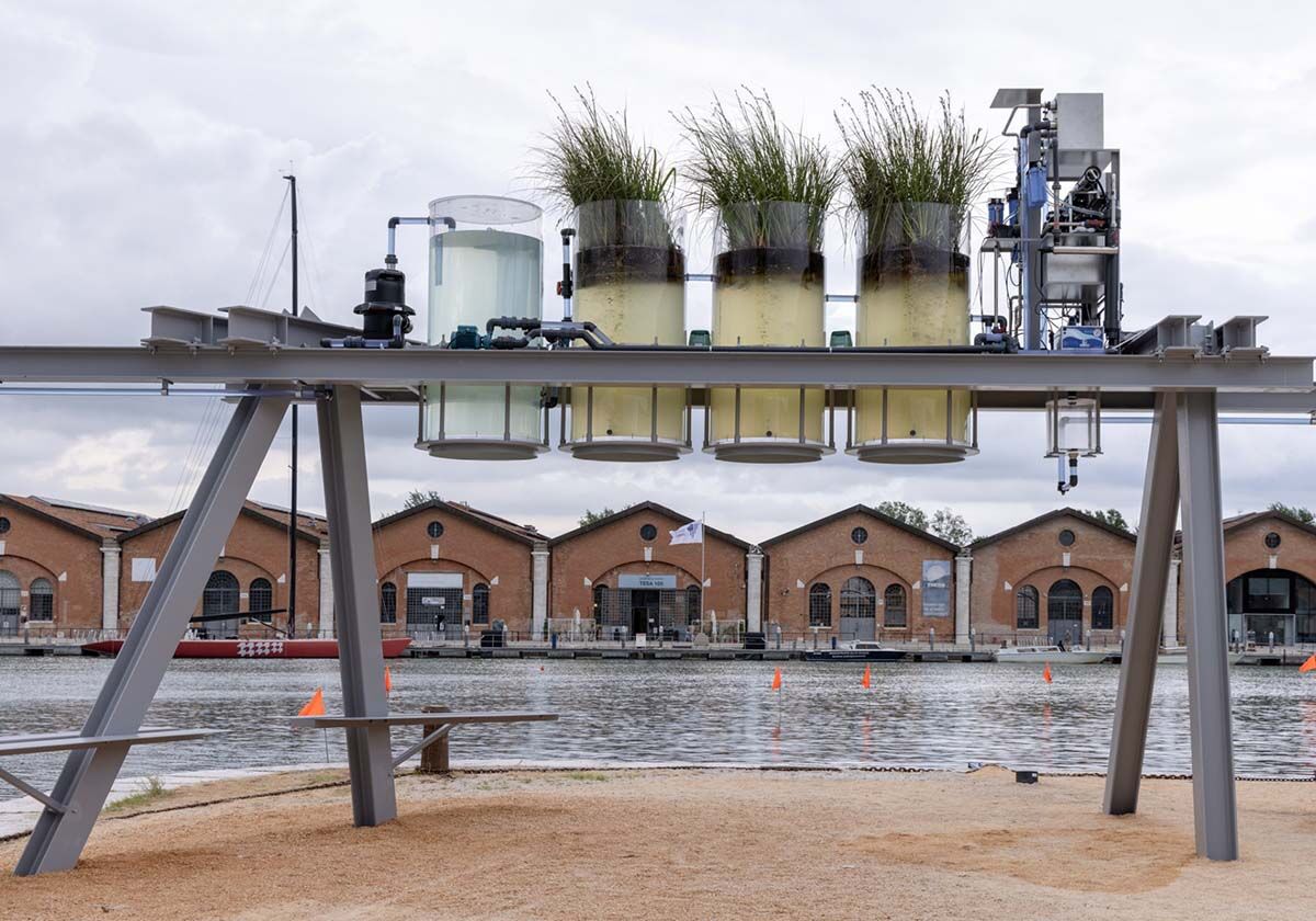 Gekühlte Plätze und frischer Kaffee - Auszeichnungen der Architekturbiennale 2025
