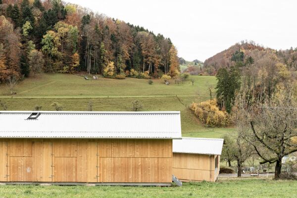 Einfamilienhaus in Reigoldswil von CRRA