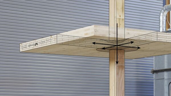 Sonderpreis: Forschungsprojekt Gradient Density von Chris Donghwi Kang und Otto Lindstam