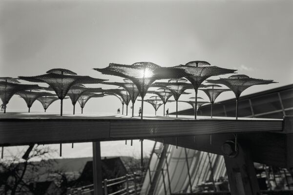 Groschirme auf der Bundesgartenschau in Kln (1971), Modell