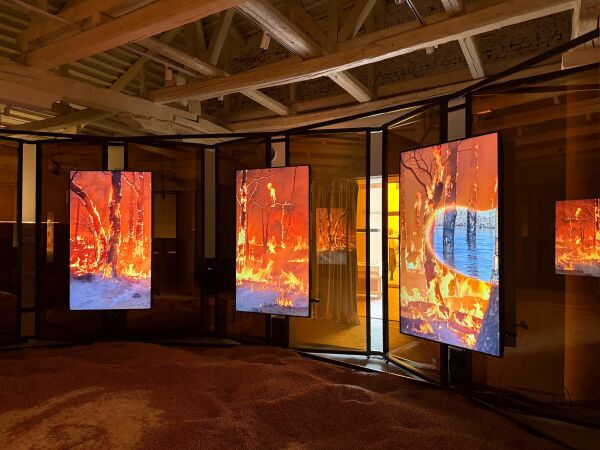 Unter dem Titel �Para�so, hoje� erwartet die Besucher*innen eine eher k�nstlerische Auseinandersetzung mit verschiedenen landschaftlichen Idealen.