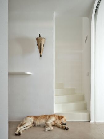 Wohnhaus von Jan aloudek Architekt