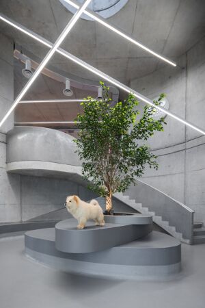 Tierklinik in Tirana von Davide Macullo Architects