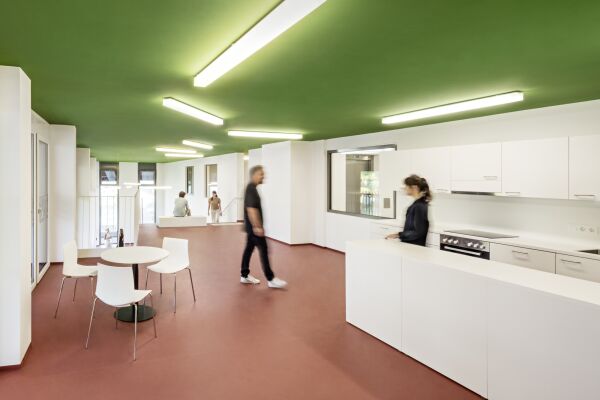 Wohnensemble in Wien von querkraft architekten