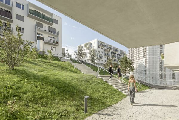 Wohnensemble in Wien von querkraft architekten