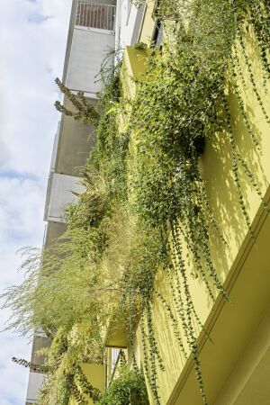 Wohnensemble in Wien von querkraft architekten