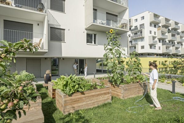 Wohnensemble in Wien von querkraft architekten