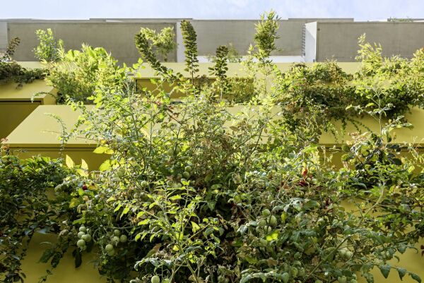 Wohnensemble in Wien von querkraft architekten