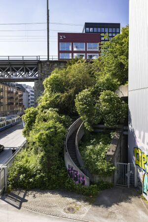 Trittsteinbiotop am Letten-Viadukt, Limmatstrae Zrich