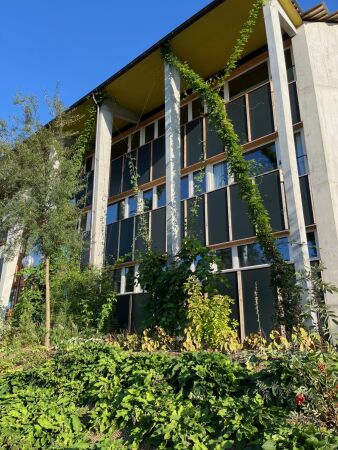 Essbare vertikale Fassadenbegrnung in Zrich