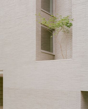 Order Matter in Seoul