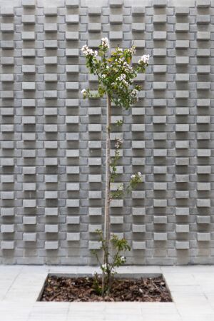 Wohnungsbau von Estudio Arqtipo