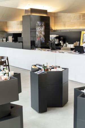 Domanbau von Peter Haimerl . Architektur in Linz