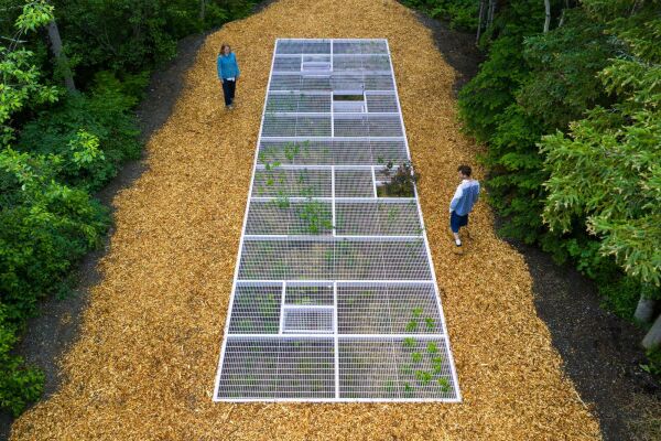 Hermine Demal + Stephen Zimmerer, Peek-a-Boo, 2025