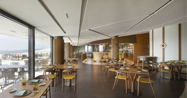 Weingut von BORD im Nordosten Ungarns