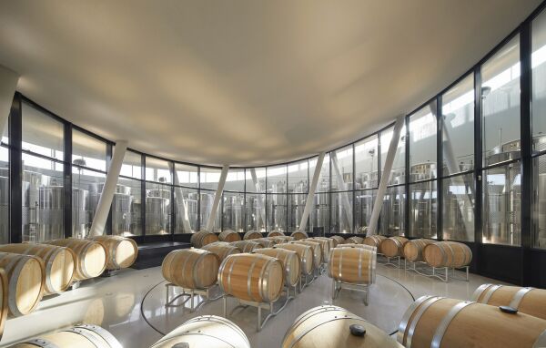 Weingut von BORD im Nordosten Ungarns