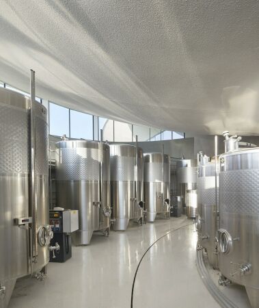 Weingut von BORD im Nordosten Ungarns