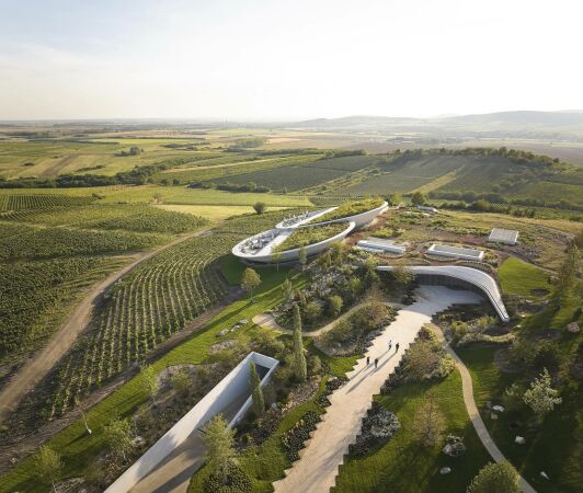 Weingut von BORD im Nordosten Ungarns