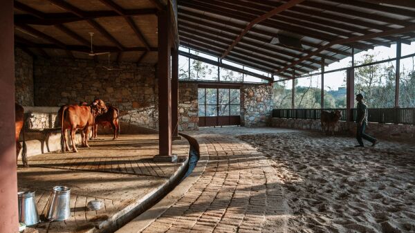 Studio Saar in Rajasthan