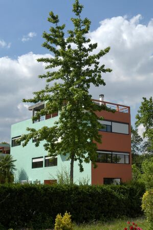 Le Corbusier, Cit Frugs  Pessac 33 (192427)