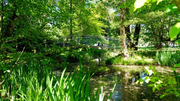 Festival Schner Wandel, Freitag, 26. September:  Exkursion zum Frei-Otto-Park Chemnitz