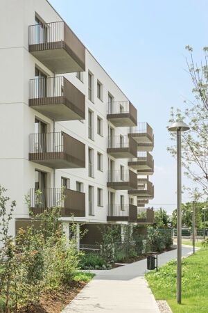 synn und Treberspurg & Partner in Wien