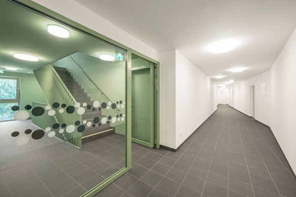 synn und Treberspurg & Partner in Wien