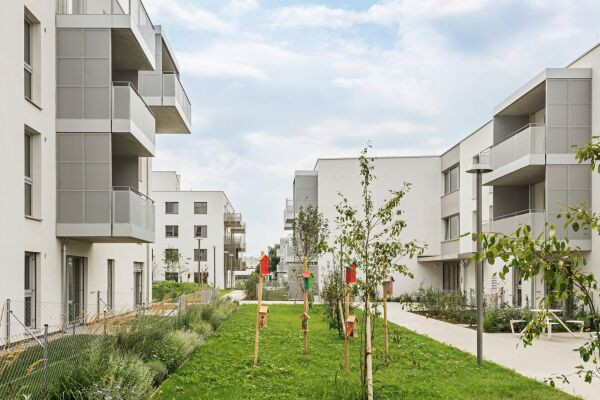 synn und Treberspurg & Partner in Wien