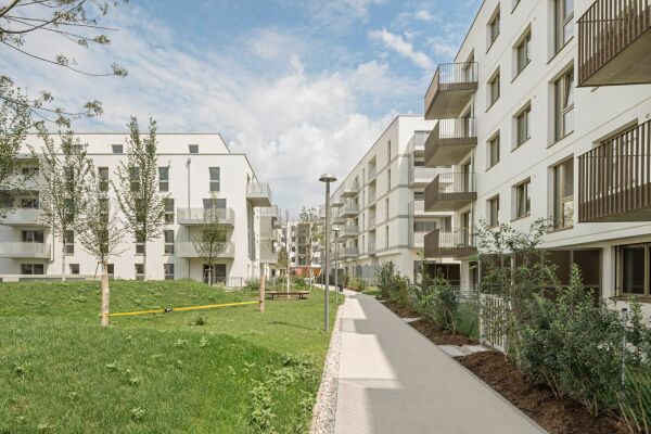 synn und Treberspurg & Partner in Wien