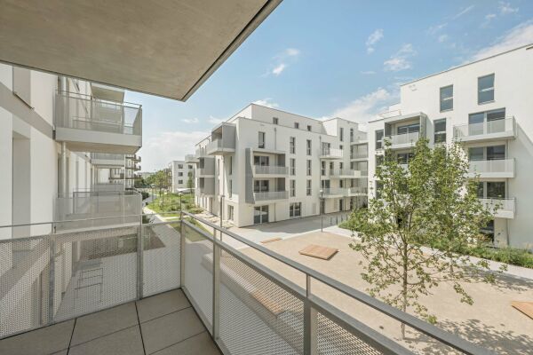 synn und Treberspurg & Partner in Wien