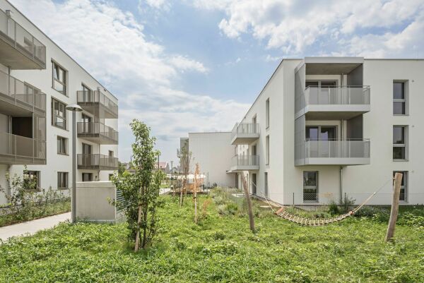 synn und Treberspurg & Partner in Wien