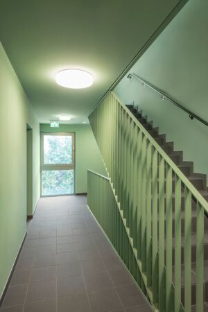 synn und Treberspurg & Partner in Wien