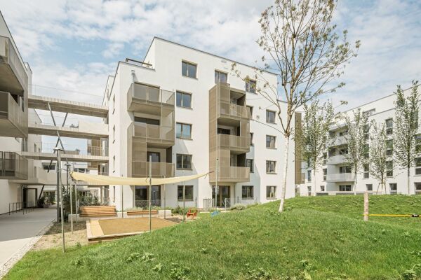 synn und Treberspurg & Partner in Wien