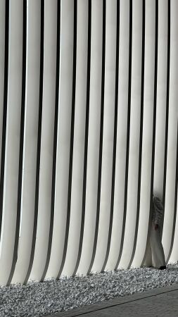 Kulturumbau in Almaty von Asif Khan Studio