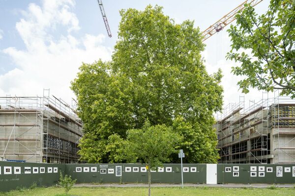 Tage der offenen Baustelle am Kulturforum