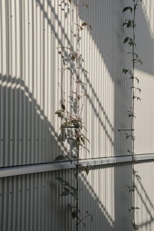 Punkthochhaus an der Landsberger Allee