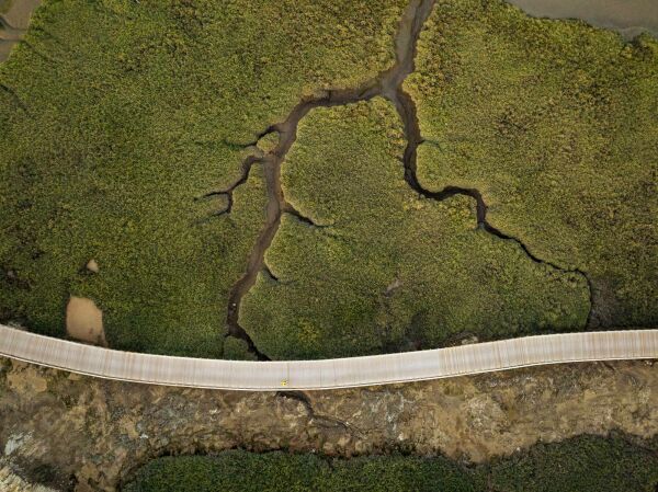 Fu- und Radweg bei Lissabon von Topiaris Landscape