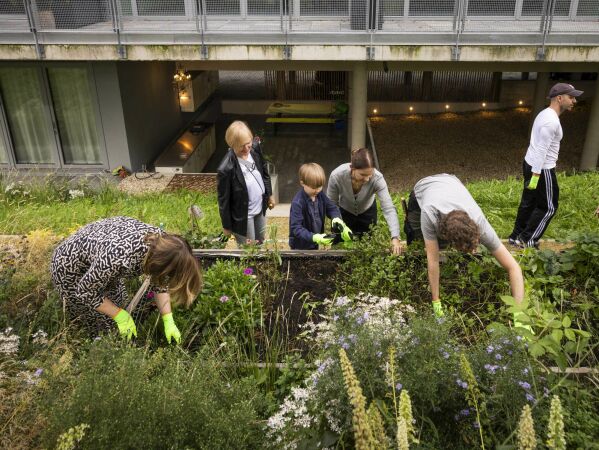 Erweiterung zum Wohnensemble in Berlin von bfstudio-architekten